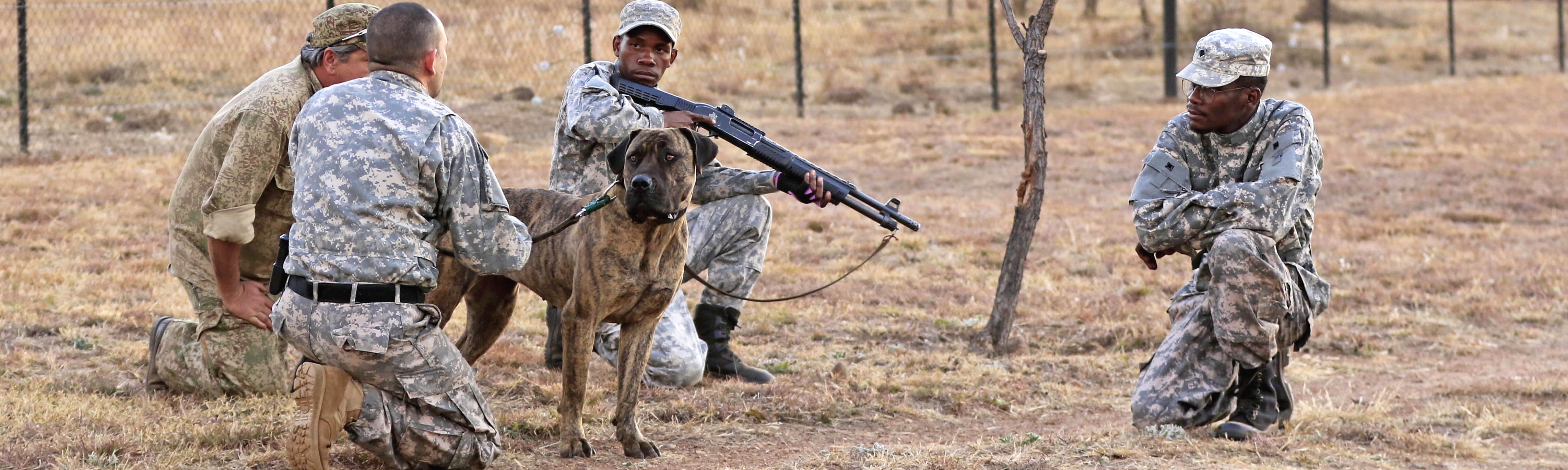Pit-Track anti-poaching operators with boerboel Mystique