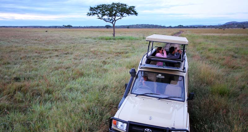 African Dew Tours & Travel