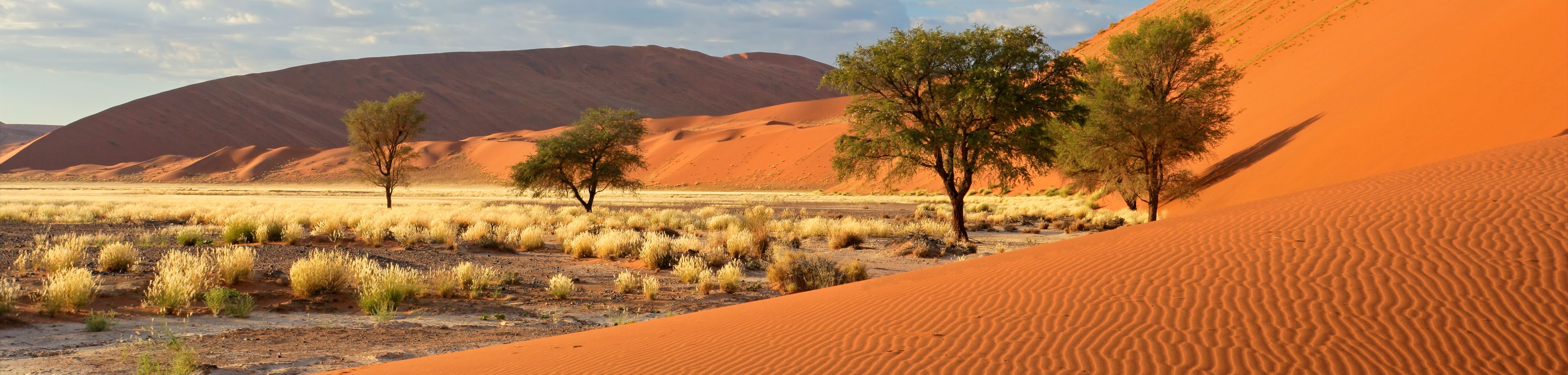 Sossusvlei, Namib-Naukluft National Park