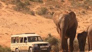 Alan Tours in Addo Park 