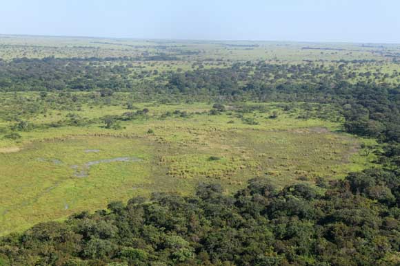 Garamba lush green landscapes