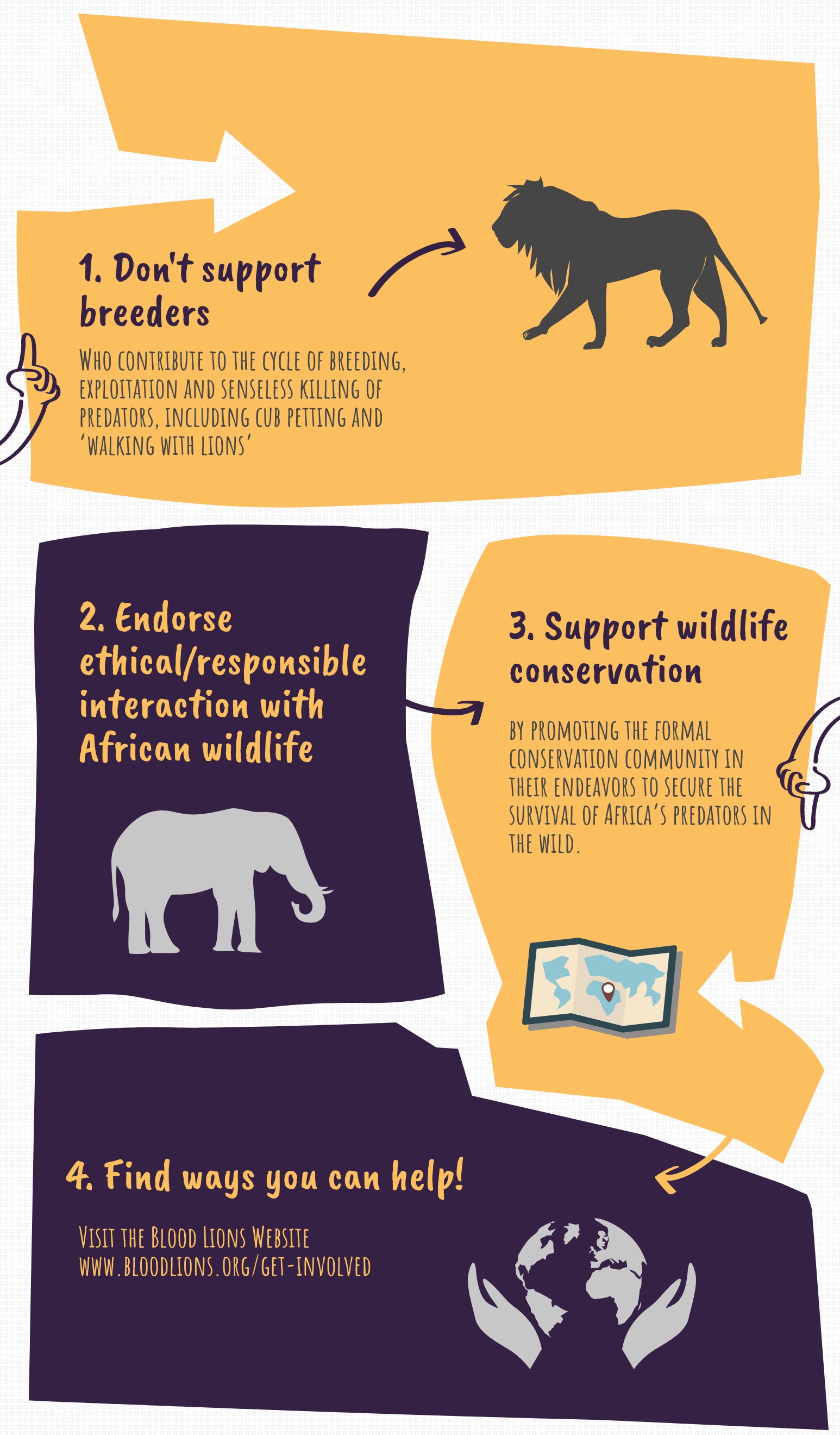 Blood Lions infographic